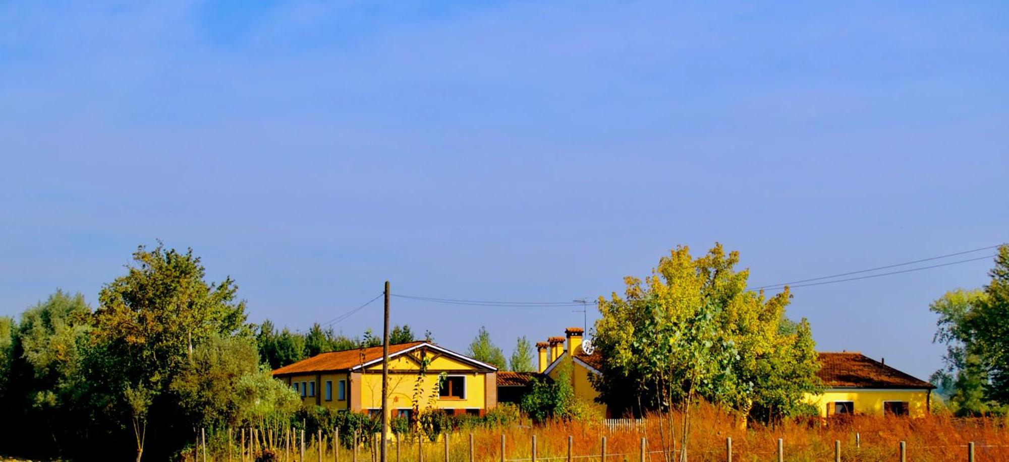 Ca' Leone - Regina Vittoria - Apartment With Pool Mira Buitenkant foto